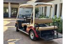 Unique YAMAHA G30E, 5-seater golf cart configurator in excellent condition, burgundy