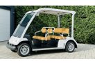 Yamaha G31E, 5 seater, fully refurbished golf cart, blue