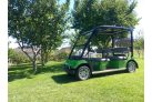Yamaha G31E, 5 seater, fully refurbished golf cart, techo green, black badge
