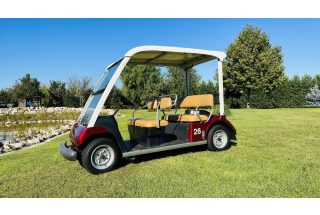   5-person Standard golf cart rental (monthly rental), burgundy