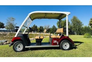   5-person Standard golf cart rental (monthly rental), burgundy