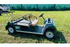 2-person convertible golf cart