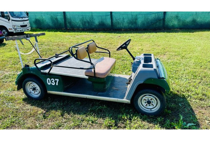 2-person convertible golf cart
