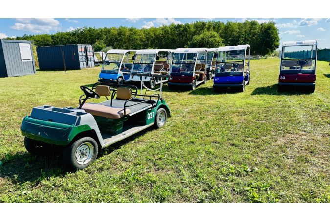 2-person convertible golf cart