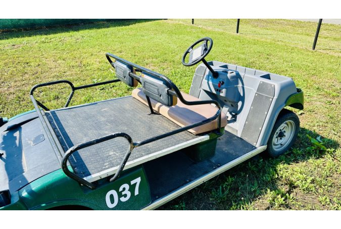 2-person convertible golf cart
