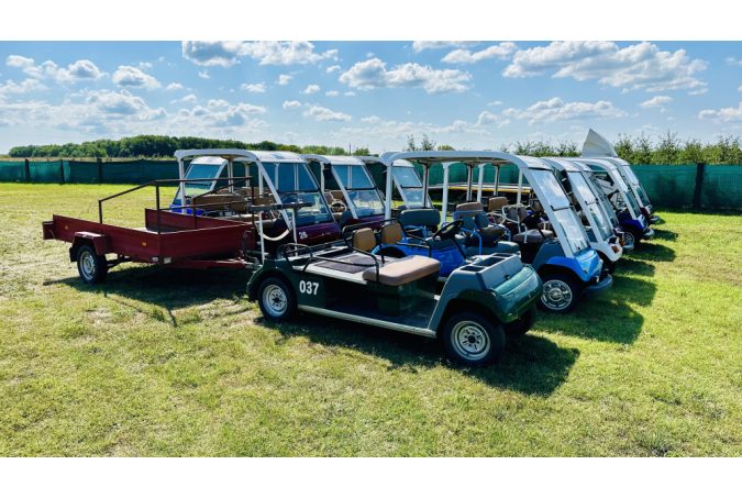 2-person convertible golf cart
