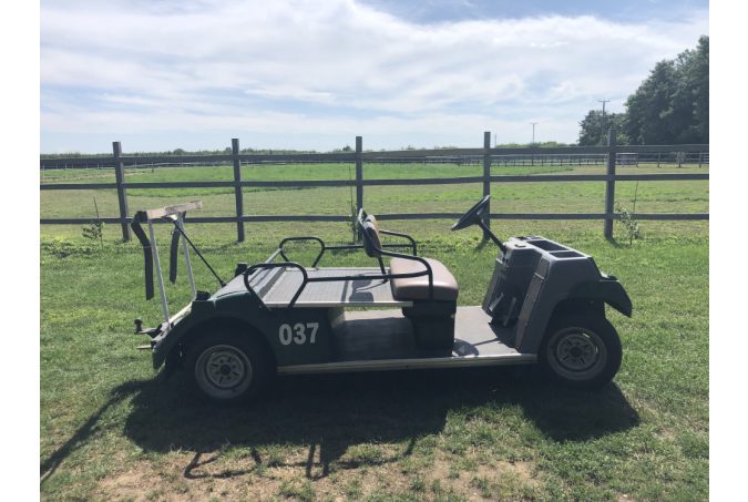 2-person convertible golf cart