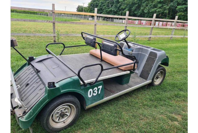 2-person convertible golf cart